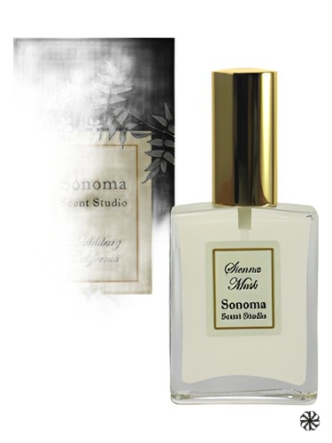 Sienna Musk Sonoma Scent Studio