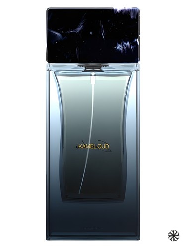 Kamel Oud Eau de Parfum Sora Dora