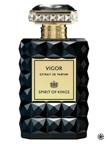 Vigor Spirit Of Kings