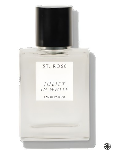 Juliet in White ST. Rose