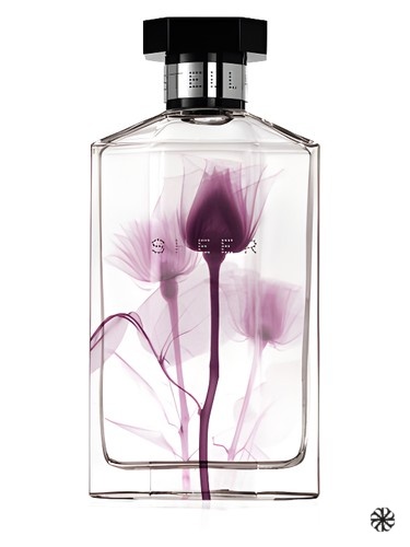Sheer Stella 2011 Stella McCartney