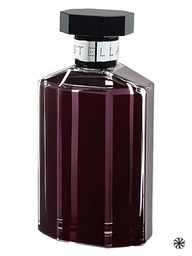 Stella Rose Absolute Stella McCartney