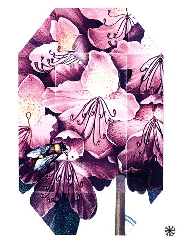 Print Collection Stella 01 (2011) Stella McCartney