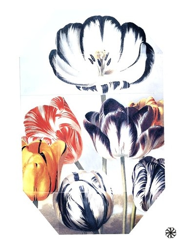 Print Collection Stella 02 (2011) Stella McCartney