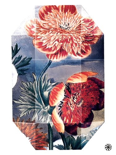Print Collection Stella 03 (2011) Stella McCartney