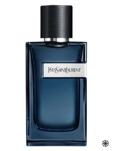 Y Eau de Parfum Intense Yves Saint Laurent