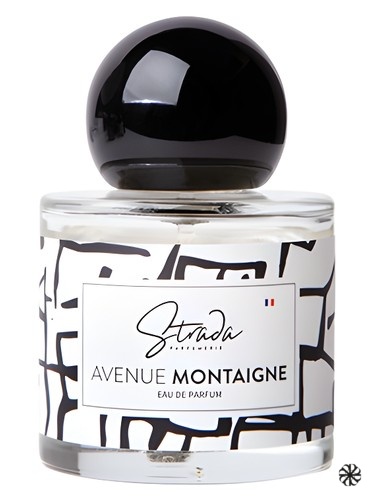 Avenue Montaigne Strada