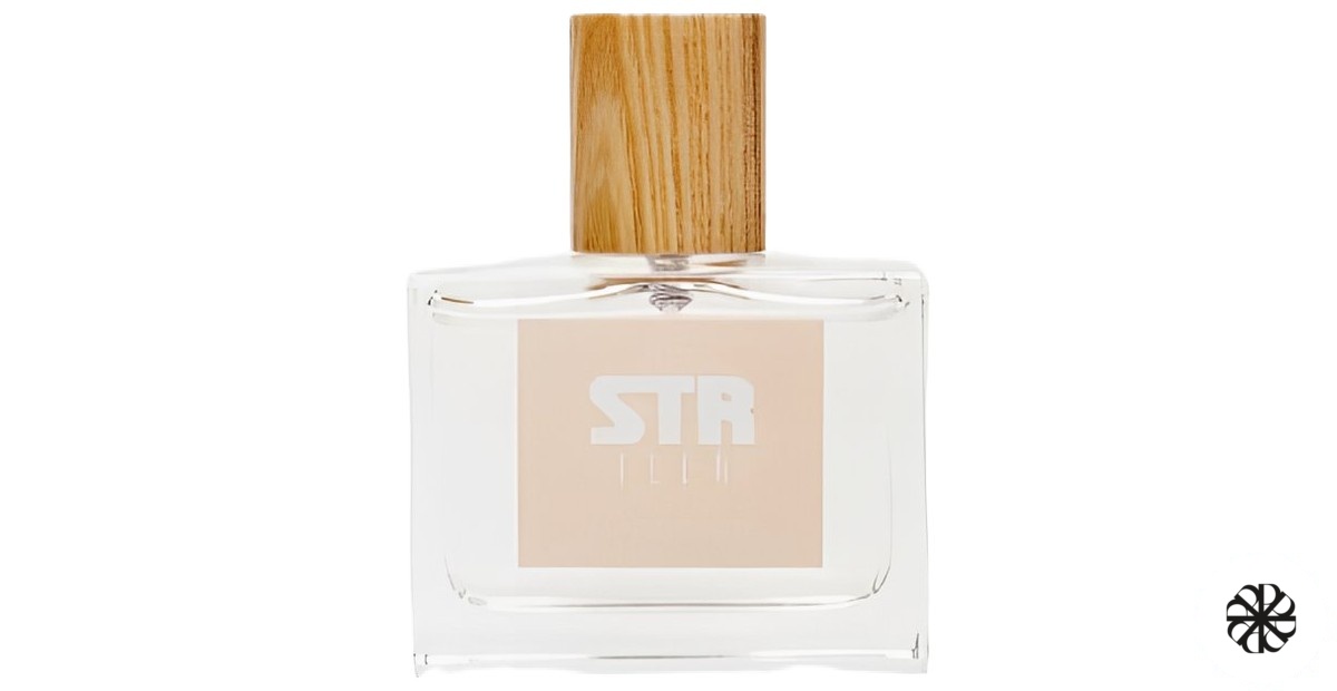N°168 Stradivarius