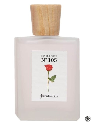 N° 105 Tender Rose Stradivarius