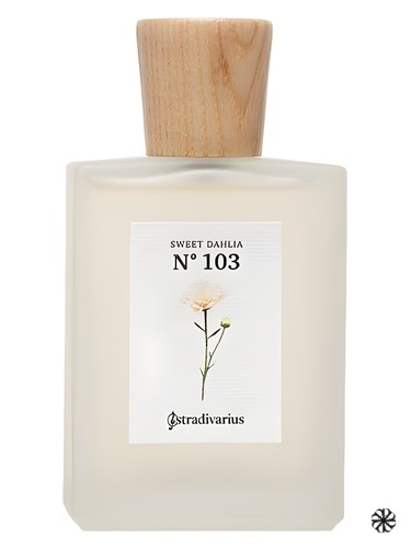 N° 103 Sweet Dahlia Stradivarius