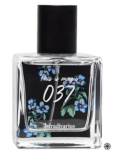 037 This Is Magic Stradivarius