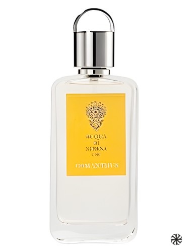 Osmanthus Acqua di Stresa