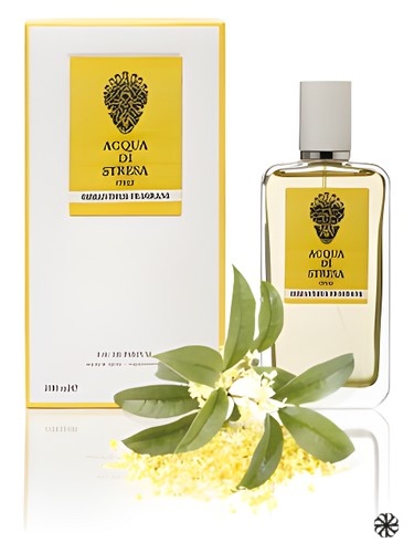Osmanthus Fragrans Acqua di Stresa
