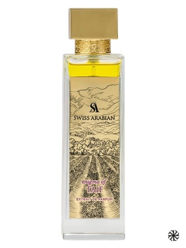 Enigma of Taif Swiss Arabian