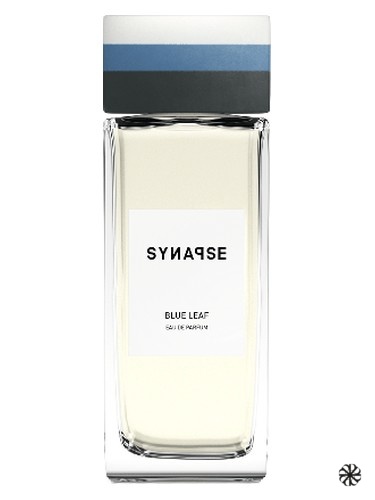 Blue Leaf Synapse