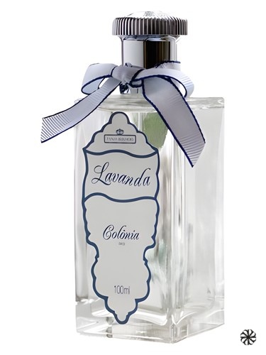 Lavanda Colonge Tania Bulhões