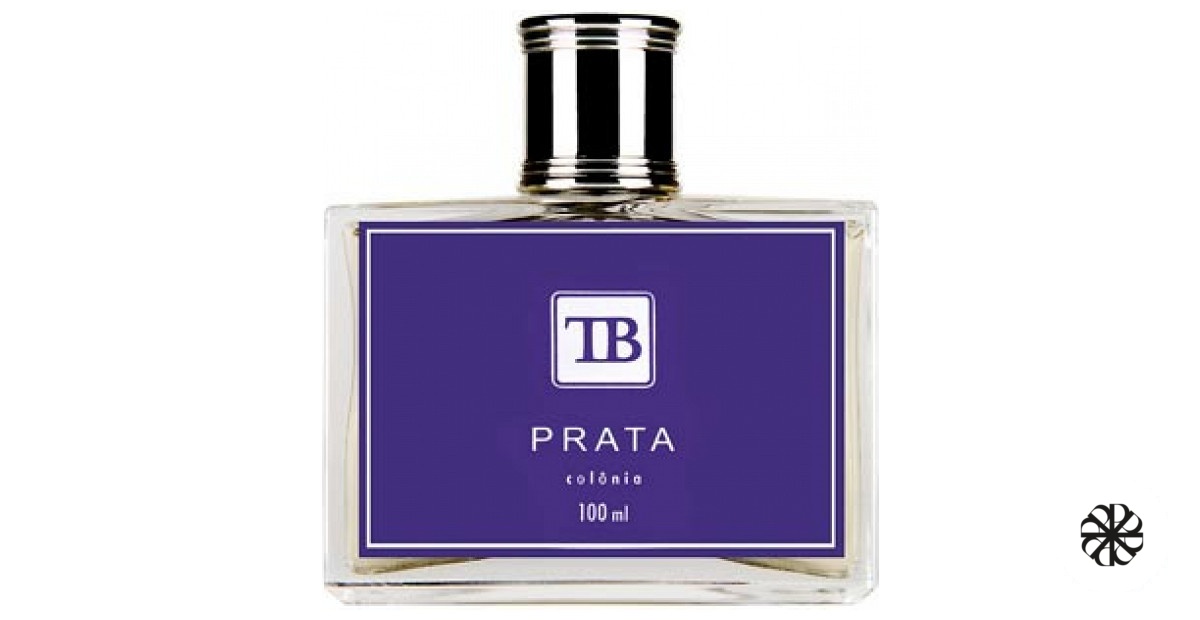 Prata Contemporaneo Tania Bulhões