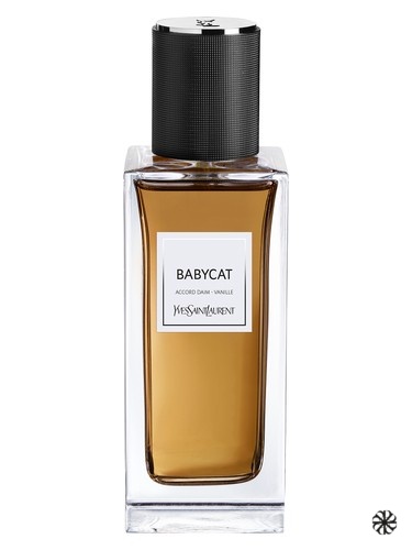 Babycat Yves Saint Laurent