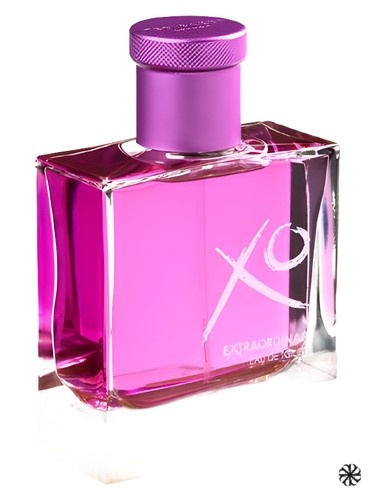 XO Extraordinary Ted Baker