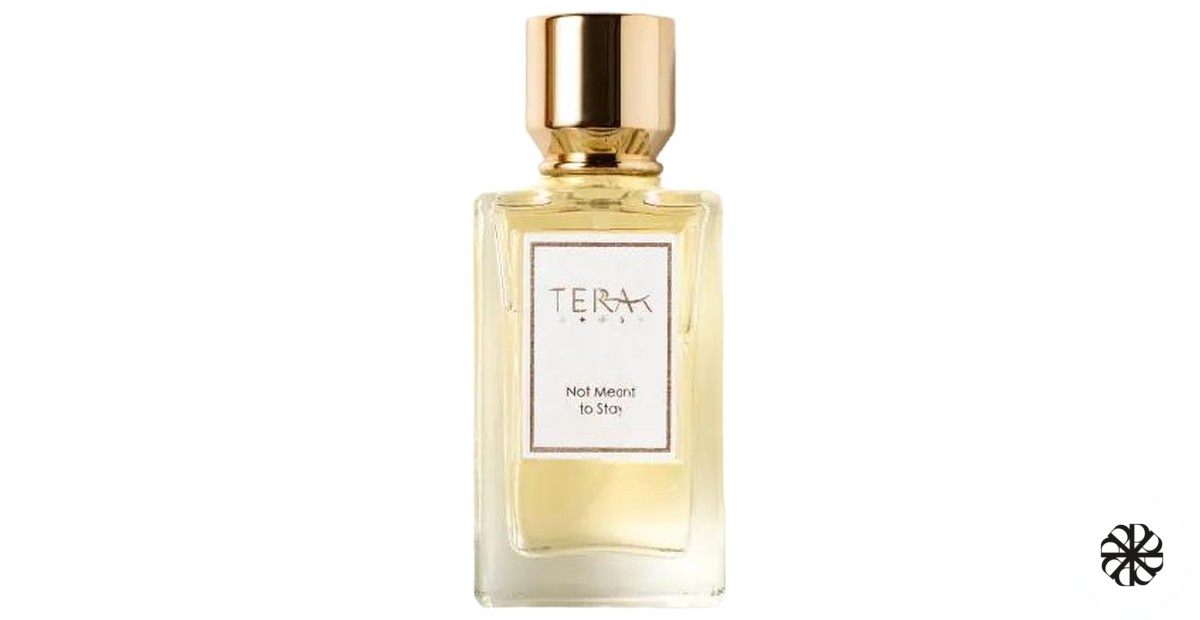 Not Meant to Stay 陌上花 Terra T