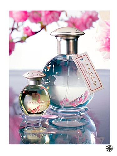 Sakura and Green Tea TerraNova