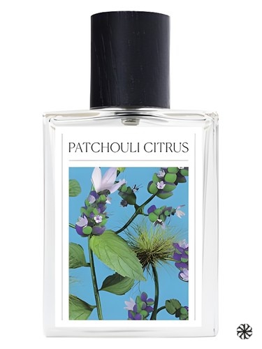 Patchouli Citrus The 7 Virtues