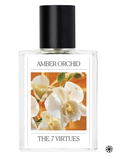 Amber Orchid The 7 Virtues