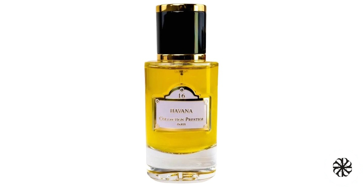 Havana Parfums Absoluta