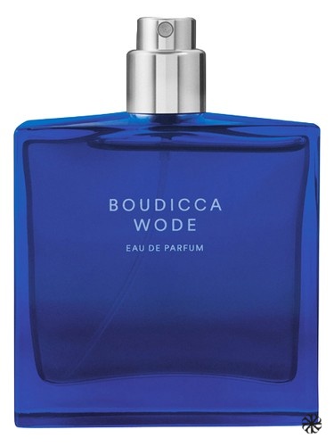 Boudicca Wode The Beautiful Mind Series