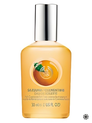 Satsuma The Body Shop