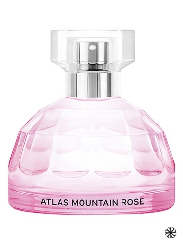 Atlas Mountain Rose The Body Shop