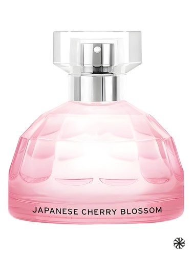Japanese Cherry Blossom The Body Shop