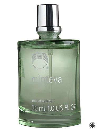 Minteva The Body Shop