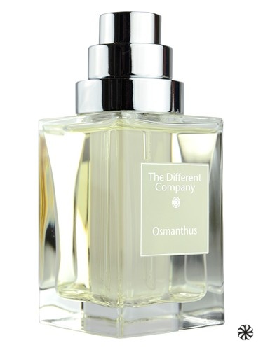 Osmanthus The Different Company