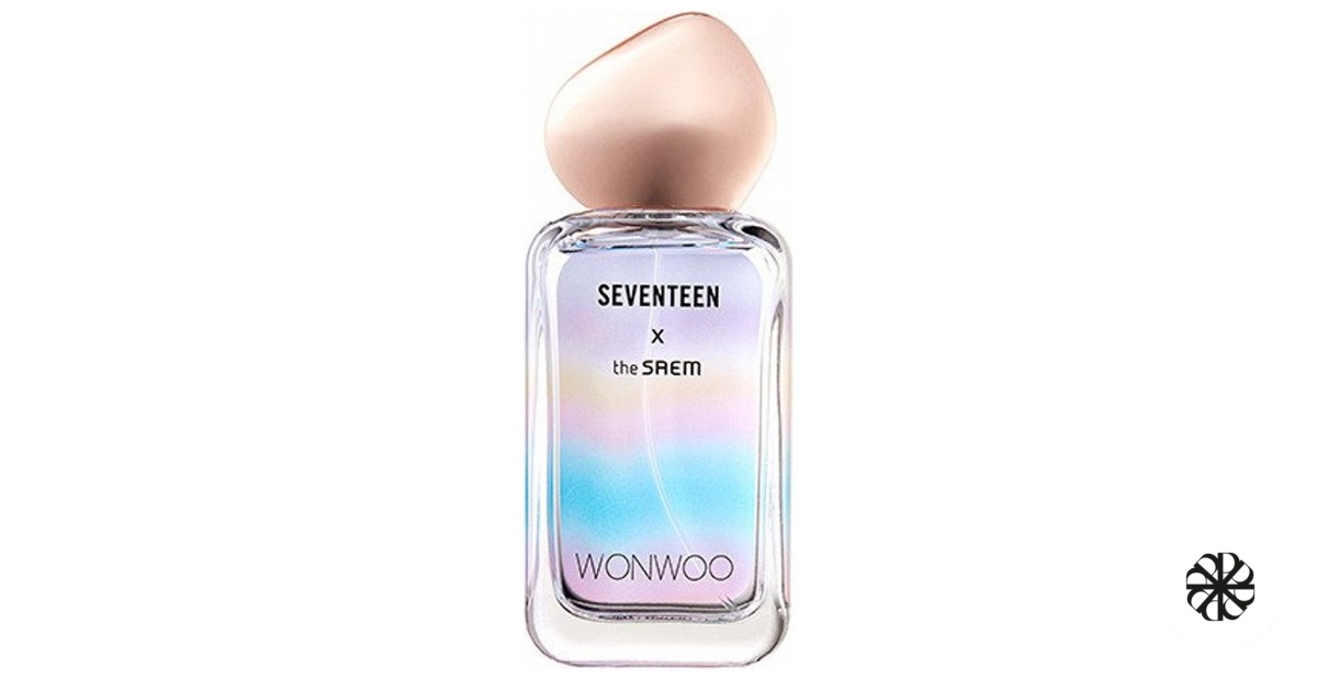 Seventeen X Wonwoo The SAEM