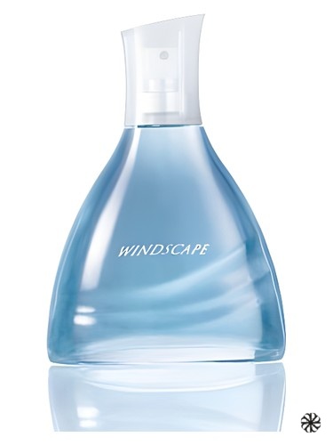 Windscape for Him Avon