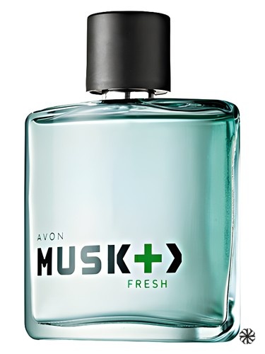 Musk + > Fresh Avon