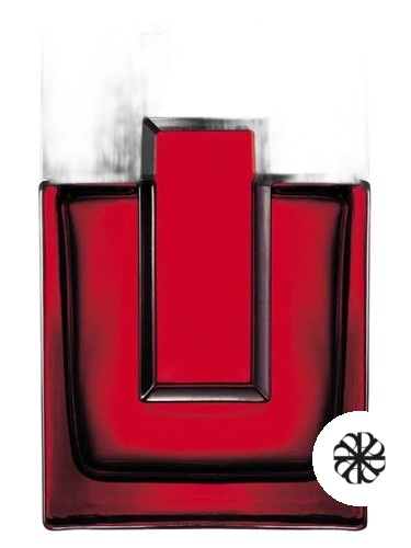 Black Essential Hot Avon