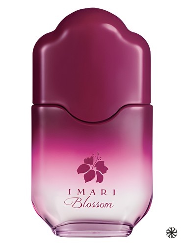 Imari Blossom Avon