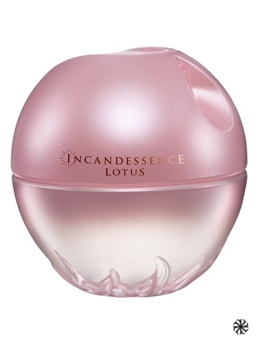 Incandessence Lotus Avon