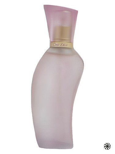 Moments One Love Avon