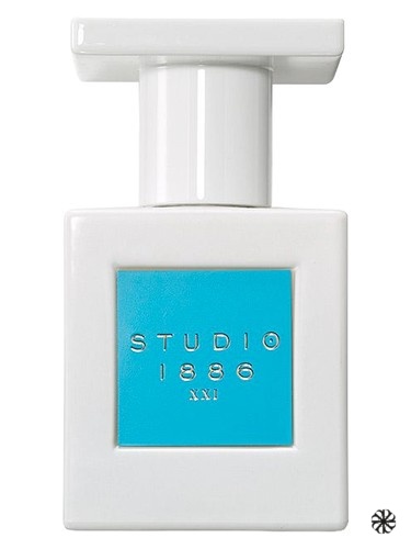 XXI Avon