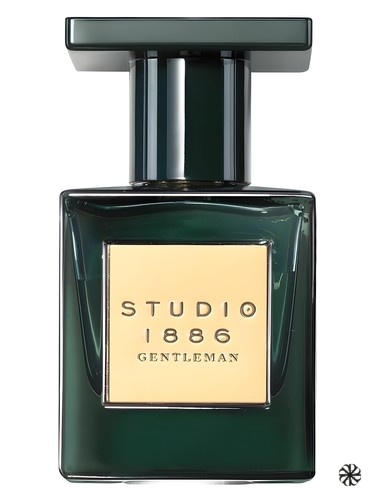Studio 1886 Gentleman Avon