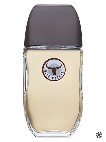 Wild Country Avon