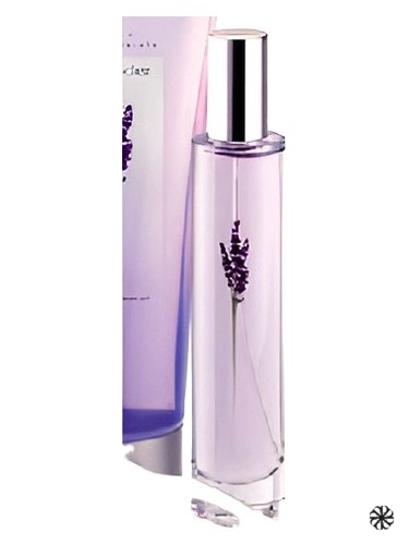 Lavender Avon
