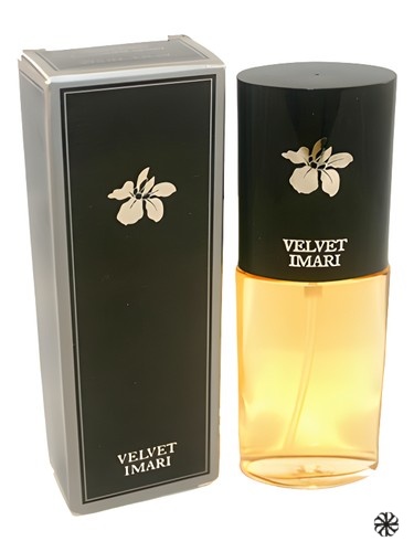Velvet Imari Avon