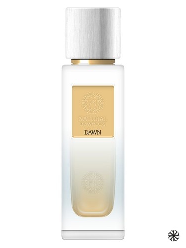 Dawn The Woods Collection