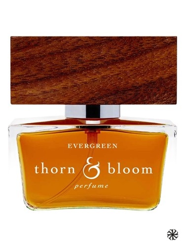 Evergreen Thorn & Bloom