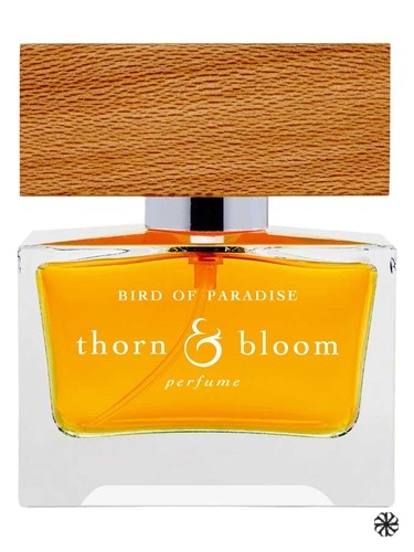 Bird of Paradise Thorn & Bloom