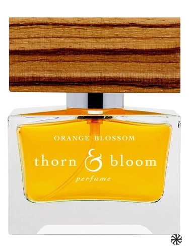 Orange Blossom Thorn & Bloom